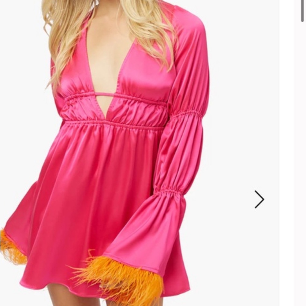 We wore what tiered sleeve feather mini dress in pink